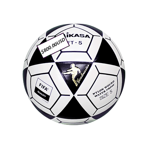 Mikasa x1