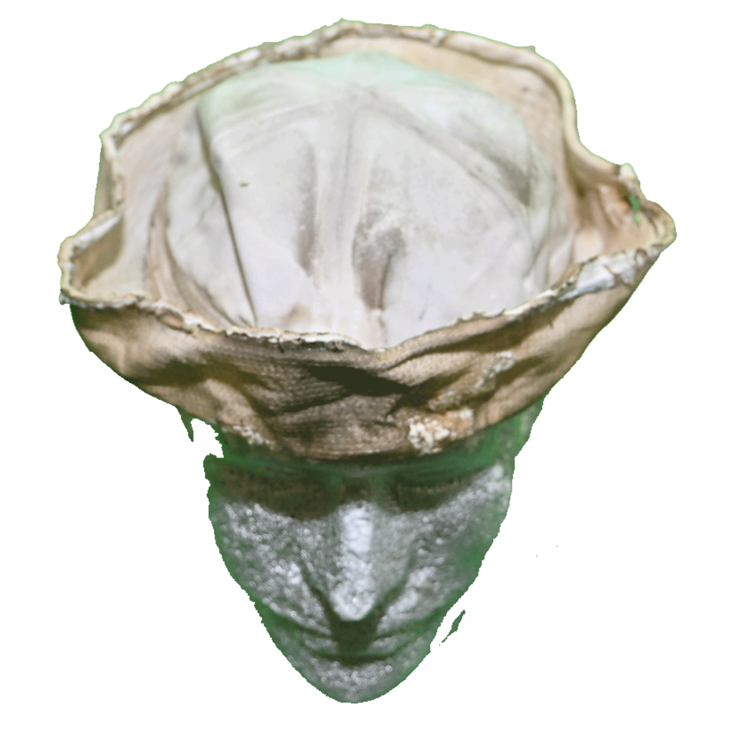 item #35